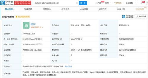 吉利新成立8家公司，技術推廣服務成核心戰略